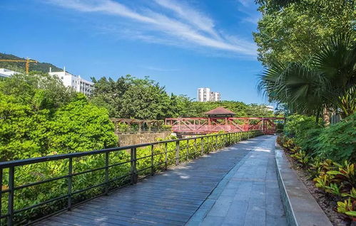 資質(zhì)取消后，園林綠化工程質(zhì)量如何保障？