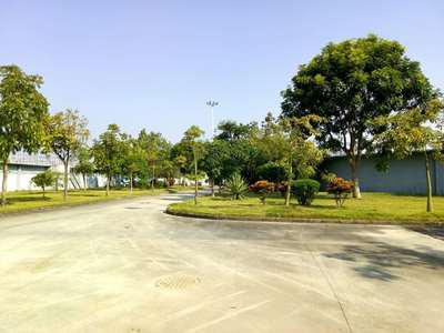 園林綠化工程案例 深圳市中環(huán)水務(wù)綠化養(yǎng)護(hù)