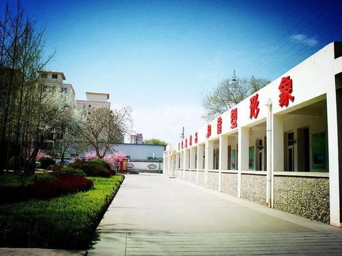 園林綠化工程中的提質(zhì)增效 我做先鋒的切實(shí)行動(dòng)與深度解析
